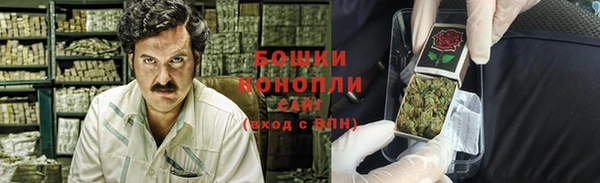 прущие грибы Семёнов