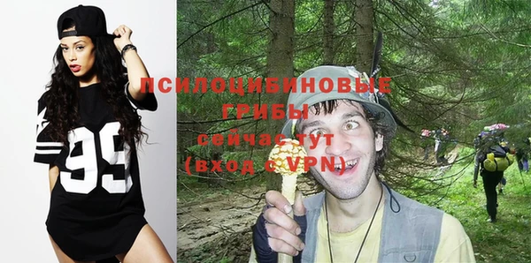прущий лед Бронницы