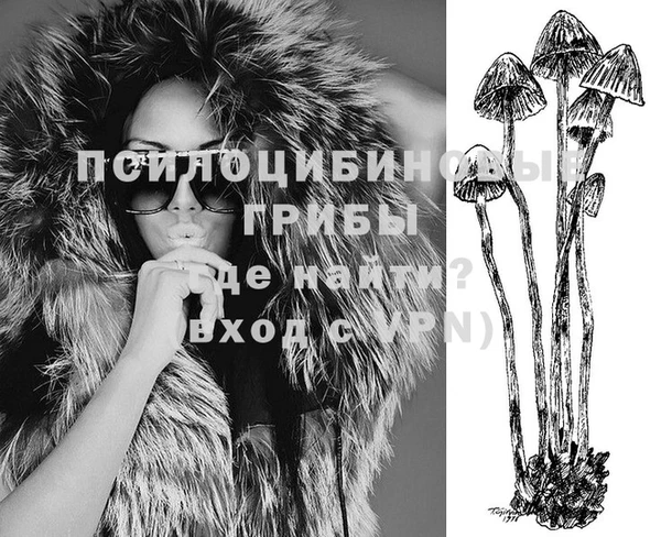 спиды Бородино