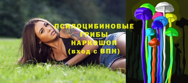 дживик Семикаракорск