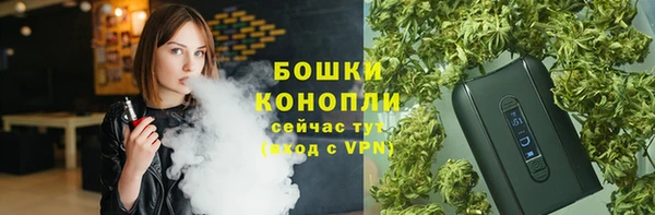 дживик Верея