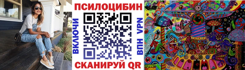 купить   Бронницы  Псилоцибиновые грибы Psilocybine cubensis 